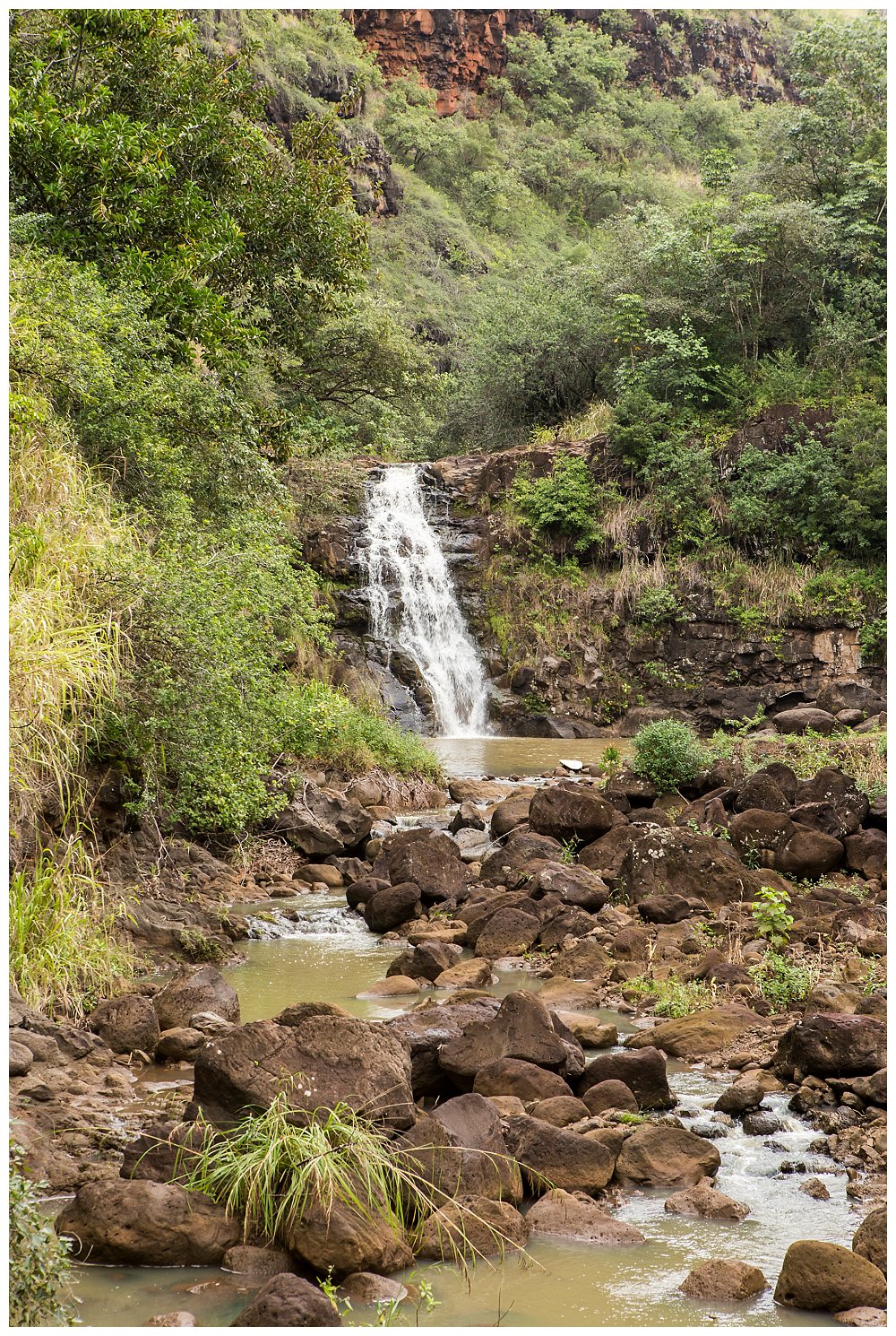 2015-01-28_Waimea-Waialua-0089_WEB