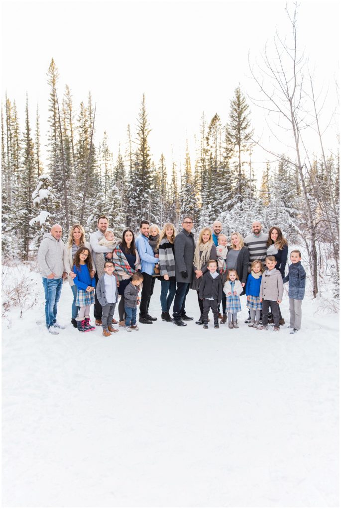 extended family photos, winter family photos, large family posing ideas